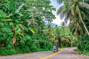 As estradas cheias de coqueiros em Siargao, leste das Filipinas.