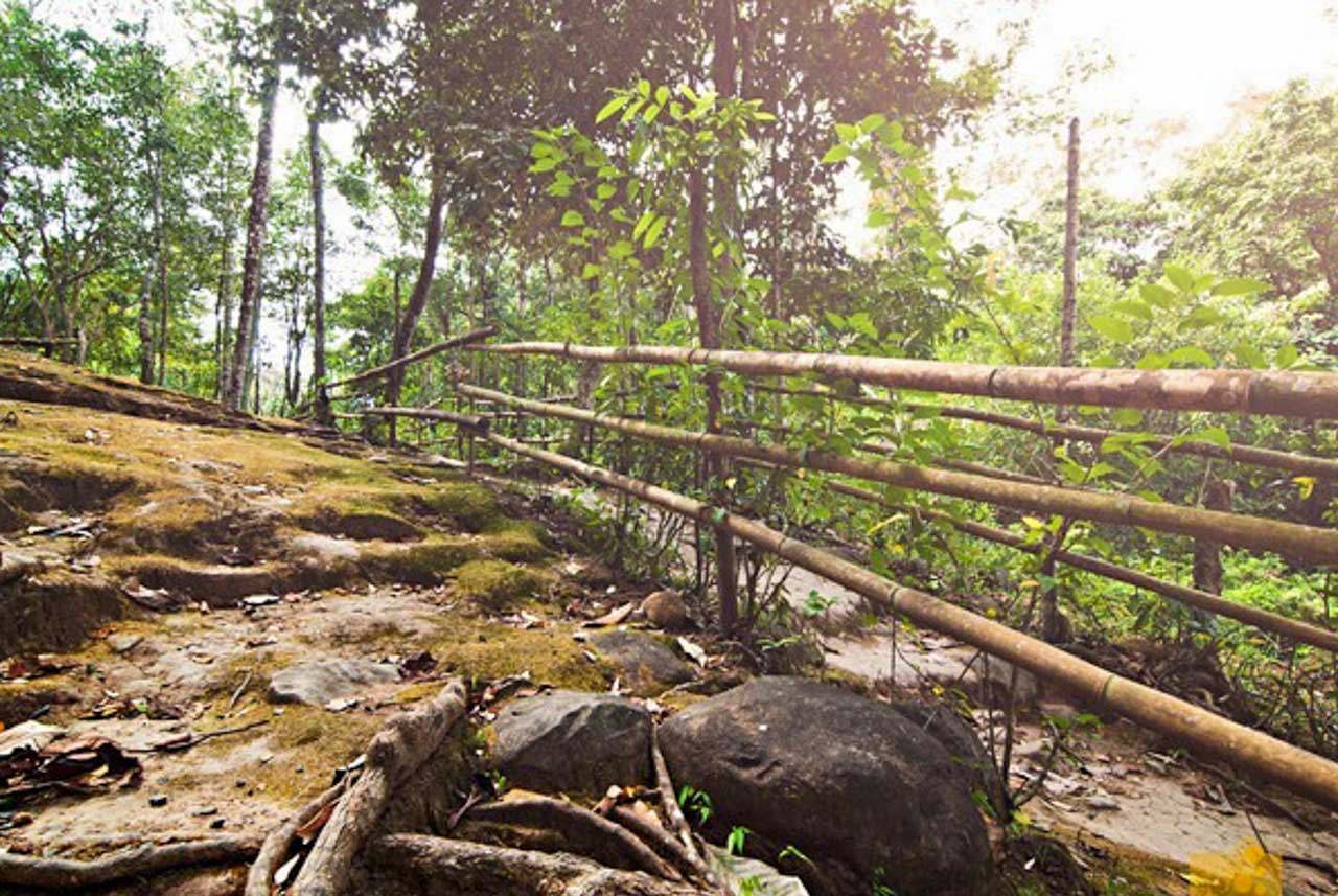 Pamulaklakin Forest nas Filipinas. 