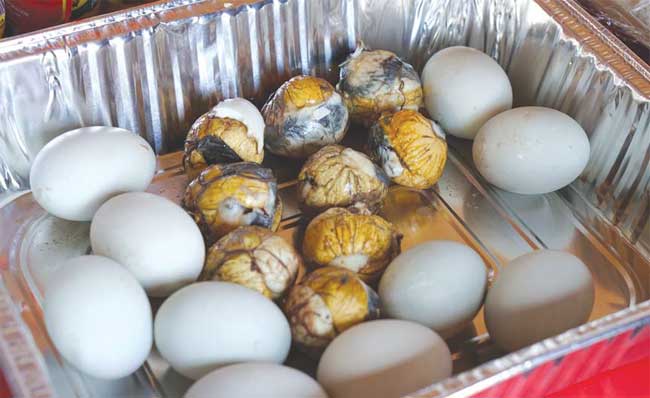 Produção de balut.